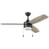 Honeywell Berryhill Indoor Ceiling Fan, Matte Black, 48-Inch - 51858-01